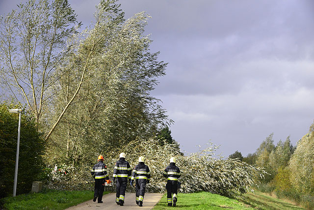 2013/267/GB 20131028e 001 Stormschade Ringvaartdijk 51.jpg